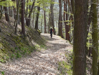 Radweg am Edersee